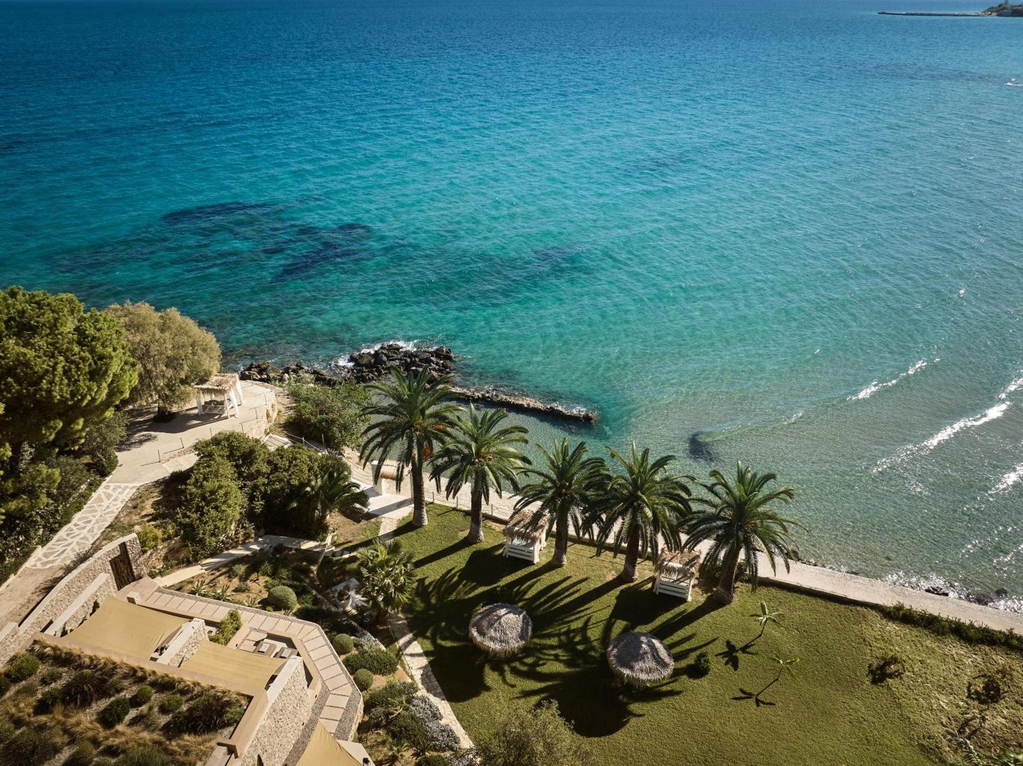 Calypso Ammoudi